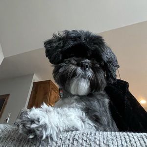 Meet your Posher, John